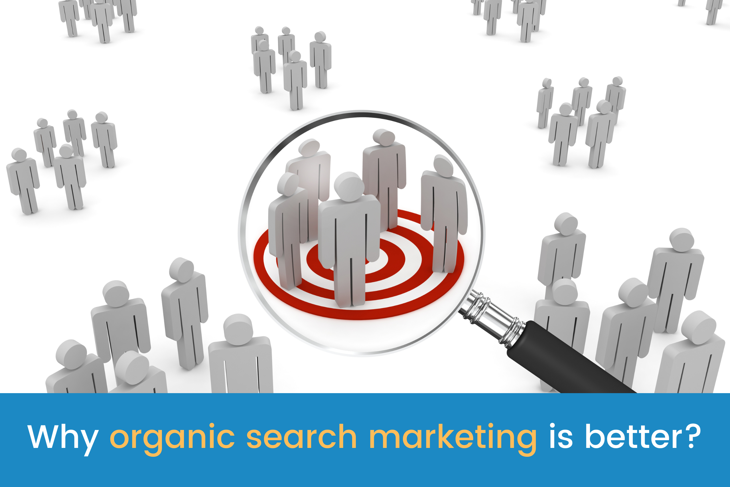 Organic search marketing