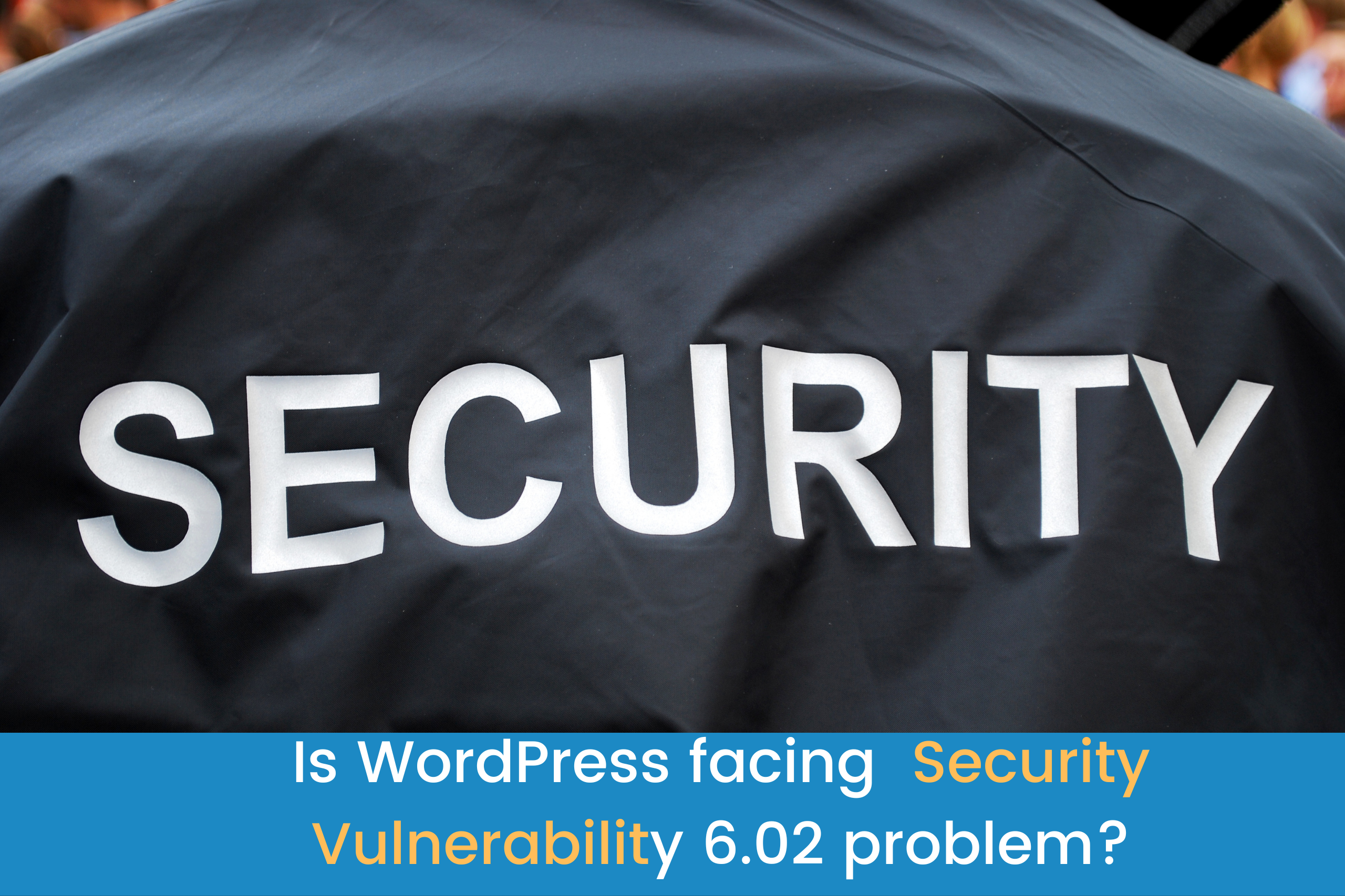 Security Vulnerability